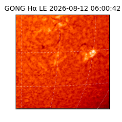 gong - 2026-08-12T06:00:42