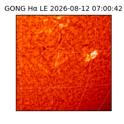 gong - 2026-08-12T07:00:42