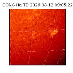 gong - 2026-08-12T09:05:22