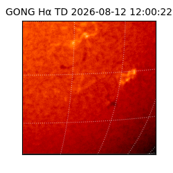 gong - 2026-08-12T12:00:22