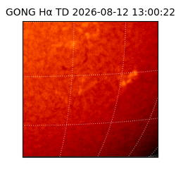 gong - 2026-08-12T13:00:22