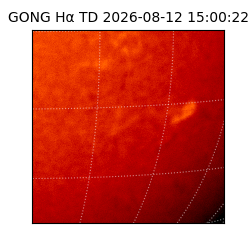 gong - 2026-08-12T15:00:22