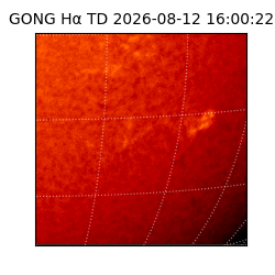 gong - 2026-08-12T16:00:22