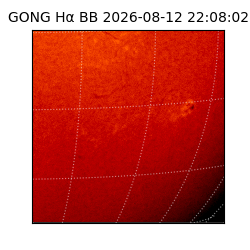 gong - 2026-08-12T22:08:02