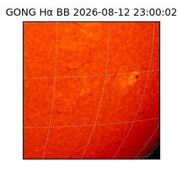 gong - 2026-08-12T23:00:02