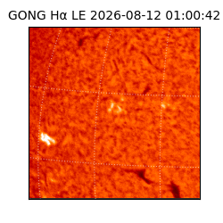 gong - 2026-08-12T01:00:42