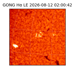 gong - 2026-08-12T02:00:42