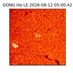 gong - 2026-08-12T05:00:42