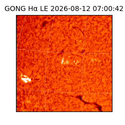 gong - 2026-08-12T07:00:42