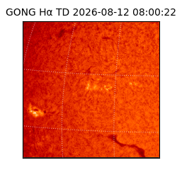 gong - 2026-08-12T08:00:22