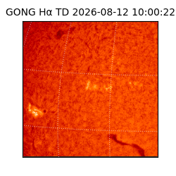 gong - 2026-08-12T10:00:22