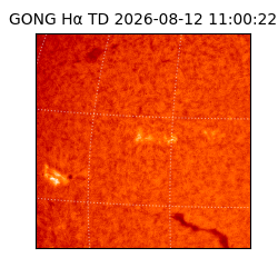 gong - 2026-08-12T11:00:22