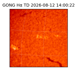 gong - 2026-08-12T14:00:22