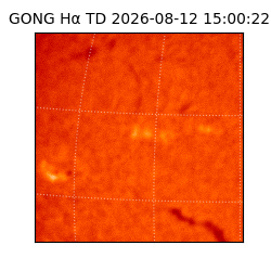gong - 2026-08-12T15:00:22