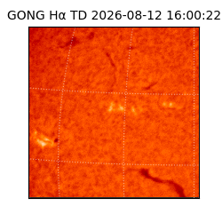 gong - 2026-08-12T16:00:22