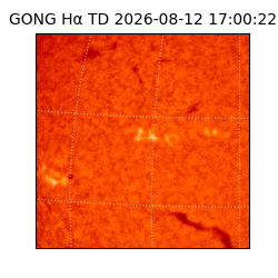 gong - 2026-08-12T17:00:22