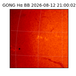 gong - 2026-08-12T21:00:02
