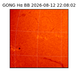 gong - 2026-08-12T22:08:02