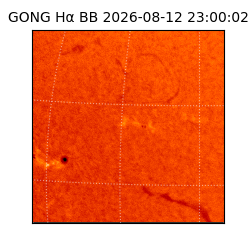 gong - 2026-08-12T23:00:02