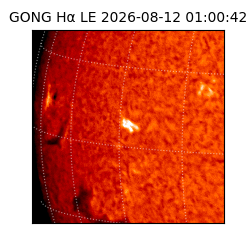 gong - 2026-08-12T01:00:42