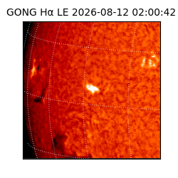 gong - 2026-08-12T02:00:42