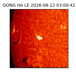 gong - 2026-08-12T03:00:42