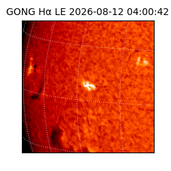 gong - 2026-08-12T04:00:42