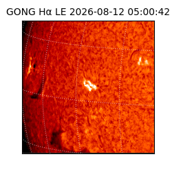 gong - 2026-08-12T05:00:42