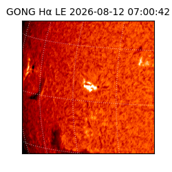 gong - 2026-08-12T07:00:42