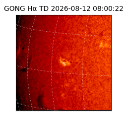 gong - 2026-08-12T08:00:22