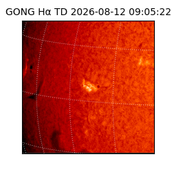 gong - 2026-08-12T09:05:22