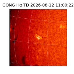 gong - 2026-08-12T11:00:22