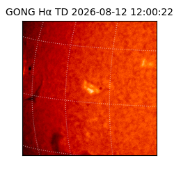 gong - 2026-08-12T12:00:22