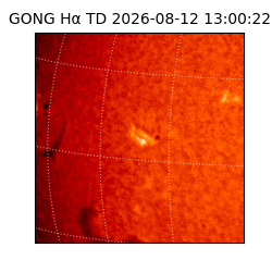 gong - 2026-08-12T13:00:22