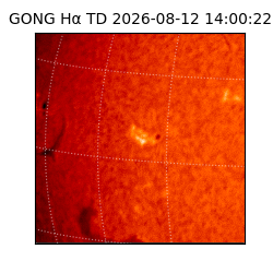 gong - 2026-08-12T14:00:22
