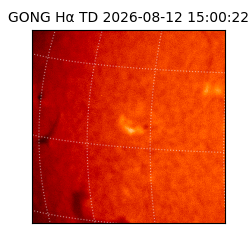 gong - 2026-08-12T15:00:22