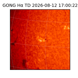 gong - 2026-08-12T17:00:22
