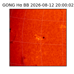 gong - 2026-08-12T20:00:02