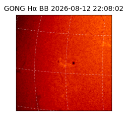 gong - 2026-08-12T22:08:02
