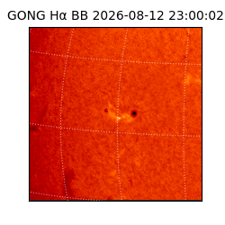 gong - 2026-08-12T23:00:02