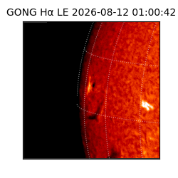 gong - 2026-08-12T01:00:42