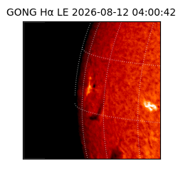 gong - 2026-08-12T04:00:42