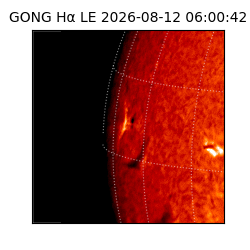 gong - 2026-08-12T06:00:42