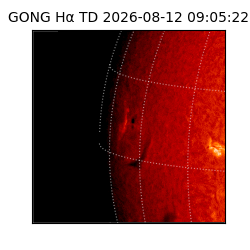 gong - 2026-08-12T09:05:22