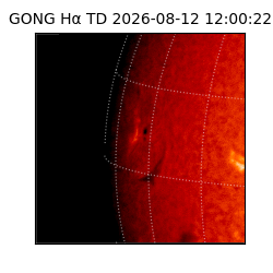 gong - 2026-08-12T12:00:22