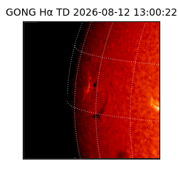 gong - 2026-08-12T13:00:22
