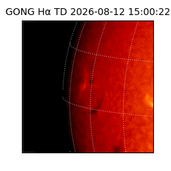 gong - 2026-08-12T15:00:22