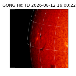 gong - 2026-08-12T16:00:22