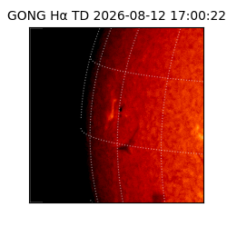 gong - 2026-08-12T17:00:22