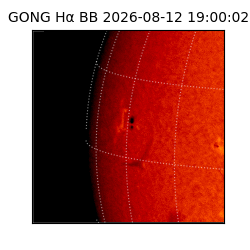 gong - 2026-08-12T19:00:02